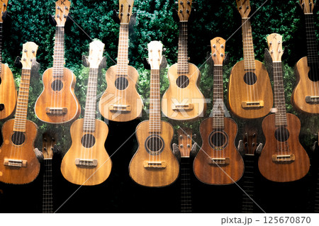 ハワイの休日　ウクレレのディスプレイ 125670870