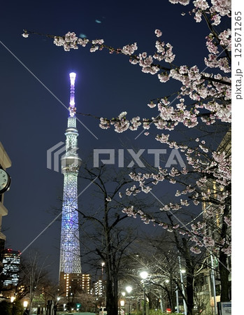 夜の山谷堀公園 桜とスカイツリー 夜の山谷堀公園 桜とスカイツリー 125671265