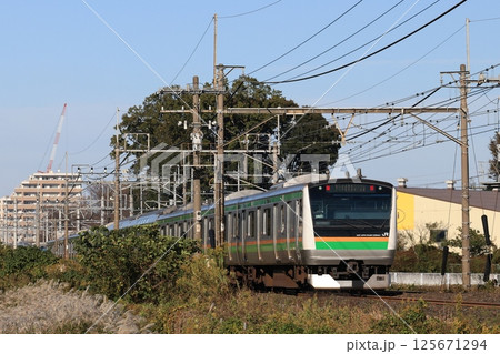 ヒガハスを走るJR宇都宮線下り電車 ヒガハスを走るJR宇都宮線下り電車 125671294