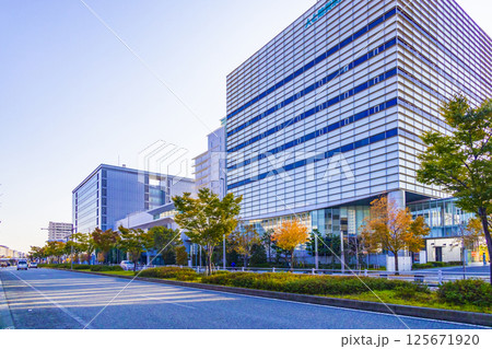 神戸市の街並 125671920