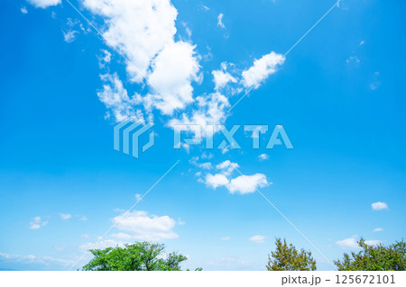 青空と雲と木立 青空と雲と木立 125672101