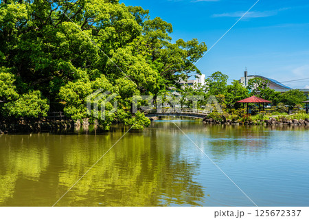 大村公園 新緑の桜田の堀【長崎県大村市】 大村公園 新緑の桜田の堀【長崎県大村市】 125672337