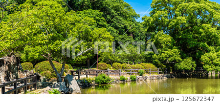 大村公園　新緑の桜田の堀　パノラマ【長崎県大村市】 125672347