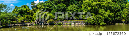大村公園 新緑の桜田の堀 パノラマ【長崎県大村市】 大村公園 新緑の桜田の堀 パノラマ【長崎県大村市】 125672360