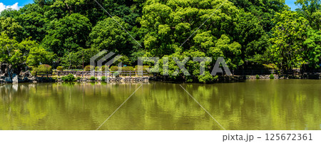 大村公園 新緑の桜田の堀 パノラマ【長崎県大村市】 大村公園 新緑の桜田の堀 パノラマ【長崎県大村市】 125672361