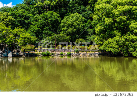 大村公園 新緑の桜田の堀【長崎県大村市】 大村公園 新緑の桜田の堀【長崎県大村市】 125672362