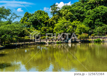 大村公園　新緑の桜田の堀【長崎県大村市】 125672364