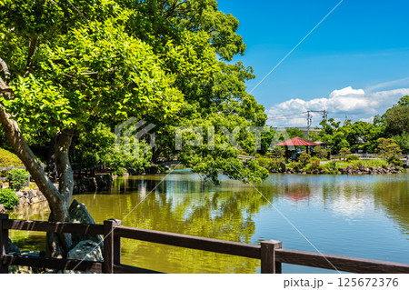 大村公園　新緑の桜田の堀【長崎県大村市】 125672376