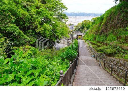 成就院の参道から由比ガ浜を望む 成就院の参道から由比ガ浜を望む 125672630
