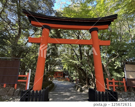 宇佐神宮の参道 宇佐神宮の参道 125672631