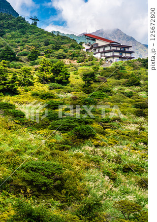 新緑の仁田峠【長崎県雲仙市】 125672800