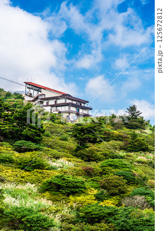 新緑の仁田峠【長崎県雲仙市】 125672812