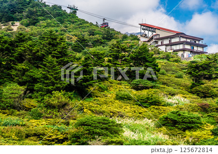 新緑の仁田峠【長崎県雲仙市】 125672814