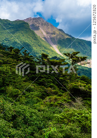 新緑の仁田峠　平成新山を望む【長崎県雲仙市】 125672820