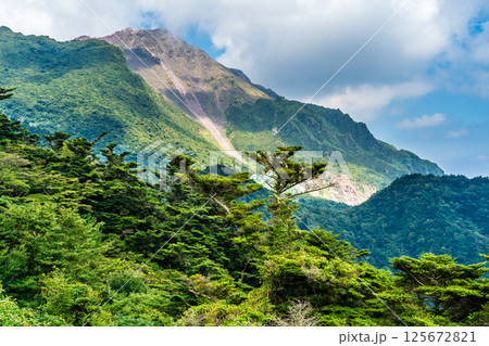 新緑の仁田峠　平成新山を望む【長崎県雲仙市】 125672821