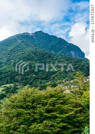 新緑の仁田峠【長崎県雲仙市】 125672827