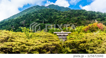 新緑の仁田峠　パノラマ【長崎県雲仙市】 125672840