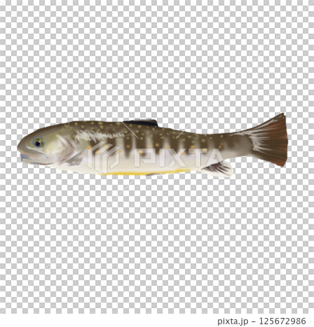 Char 125672986
