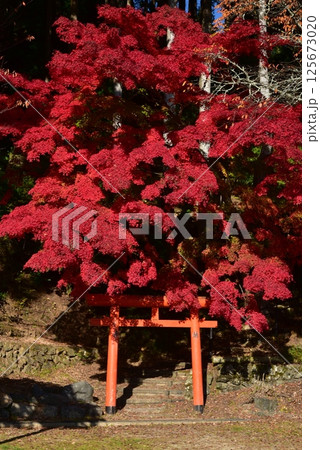 高野七弁財天　祓川弁財天の秋 125673020