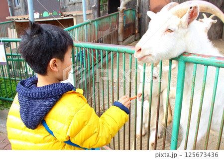 動物園で遊ぶ子供 動物園で遊ぶ子供 125673436