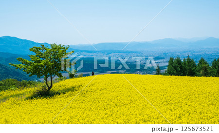 三ノ倉高原菜の花畑 三ノ倉高原菜の花畑 125673521