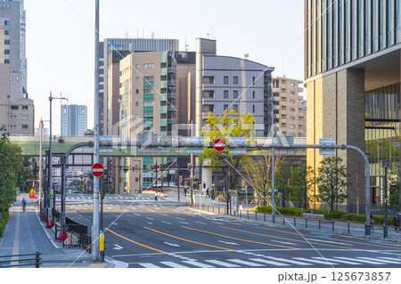 早朝の中之島 肥後橋北詰付近 早朝の中之島 肥後橋北詰付近 125673857