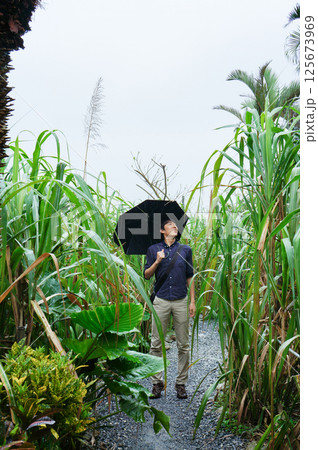 雨の中、背の高い草に囲まれた傘をさす20代の日本人男性 雨の中、背の高い草に囲まれた傘をさす20代の日本人男性 125673969
