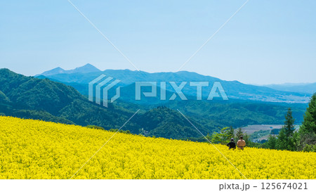 三ノ倉高原菜の花畑：磐梯山を望む 125674021