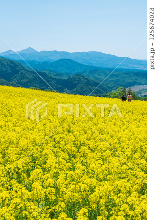 三ノ倉高原菜の花畑:磐梯山を望む 三ノ倉高原菜の花畑:磐梯山を望む 125674028