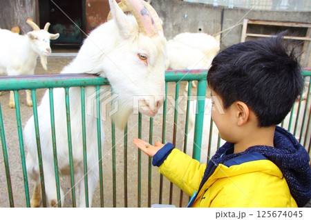 動物園で遊ぶ子供 125674045