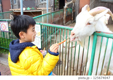 動物園で遊ぶ子供 動物園で遊ぶ子供 125674047
