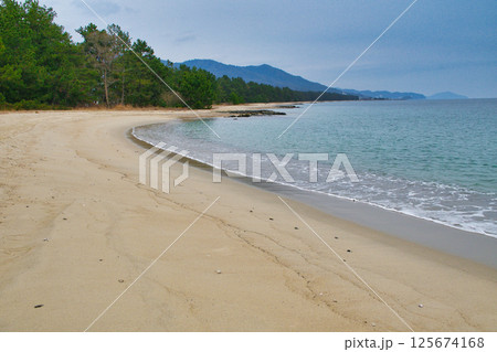 天橋立　美しい白砂青松（京都府宮津市） 125674168