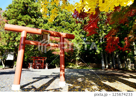 高野七弁財天　湯屋谷辨財天の秋 125674233