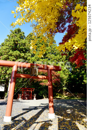 高野七弁財天 湯屋谷辨財天の秋 高野七弁財天 湯屋谷辨財天の秋 125674234