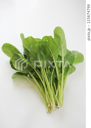 新鮮な小松菜 125674799