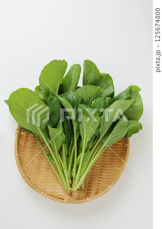 新鮮な小松菜 125674800