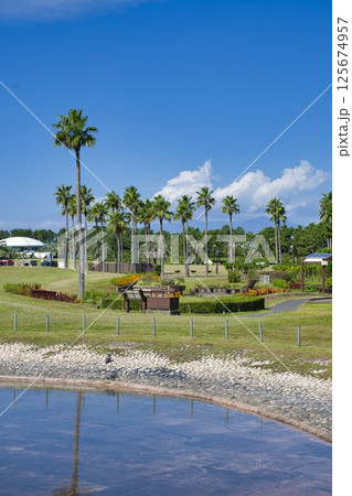 【藤沢市】辻堂海浜公園 【藤沢市】辻堂海浜公園 125674957