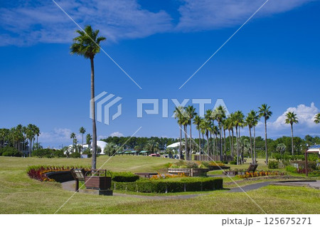 【藤沢市】辻堂海浜公園 【藤沢市】辻堂海浜公園 125675271