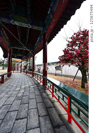 燕趙園の景色 125675494