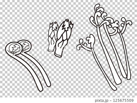 Yamana line drawing Yamana line drawing 125675509