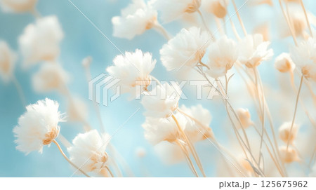 Delicate white wildflowers blooming under soft morning light against a clear blue sky, AI Generative 125675962