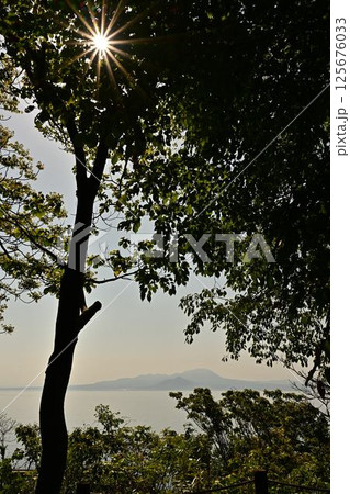 美保関からの大山 美保関からの大山 125676033