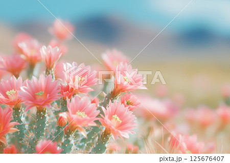 Blooming pink cactus flowers in a vibrant desert landscape with soft focus effect, AI Generative 125676407