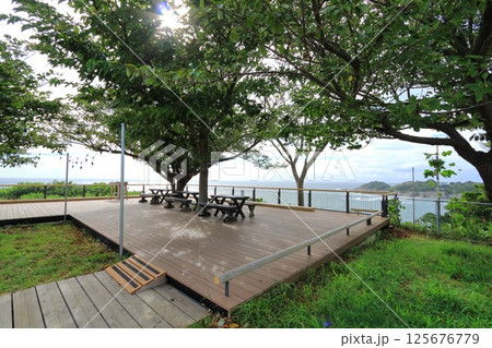 神奈川県・横須賀市・ソレイユの丘 125676779