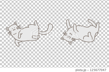 ゴロン猫セット 125677047