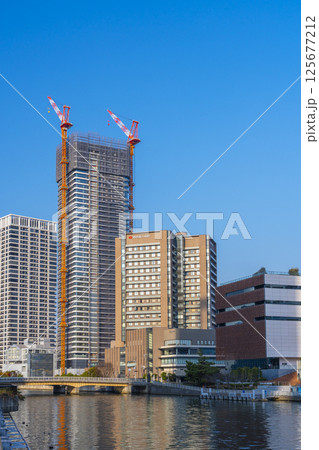 朝の中之島のビル群(玉江橋付近) 朝の中之島のビル群(玉江橋付近) 125677212