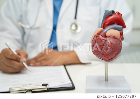 Cardiovascular disease CVD, Asian doctor holding human anatomy model for learn and treat heart disease. Cardiovascular disease CVD, Asian doctor holding human anatomy model for learn and treat heart disease. 125677297
