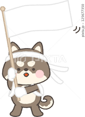 旗を振る応援団の黒柴犬 125677350