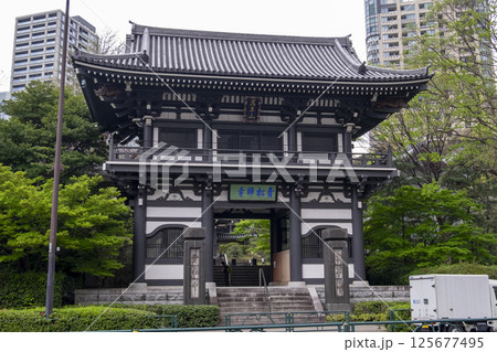 東京・愛宕の名刹「青松寺」山門　（東京都港区愛宕） 125677495