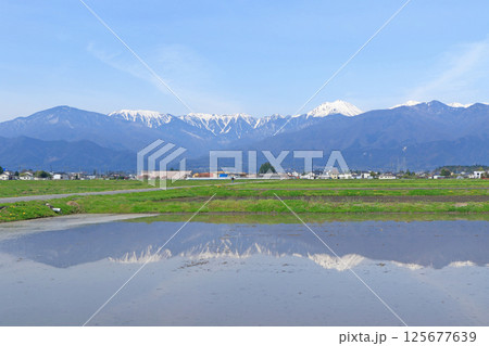 春の安曇野と北アルプス 125677639